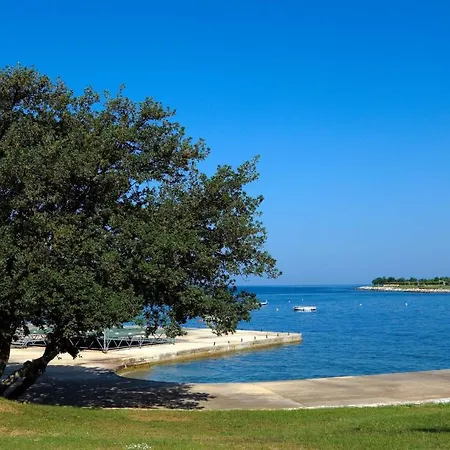 Eurocamp Mobile Homes At Park