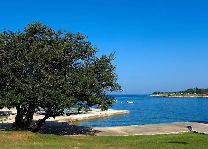 Eurocamp Mobile Homes At Park